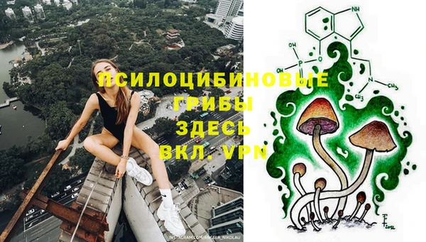 ALPHA PVP Белокуриха